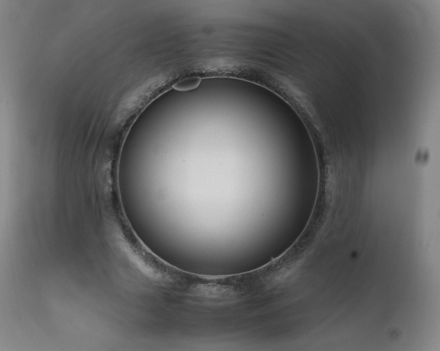 X0000111810633200907231235