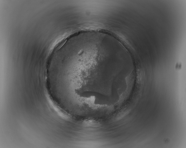 X0000111810634200907231235