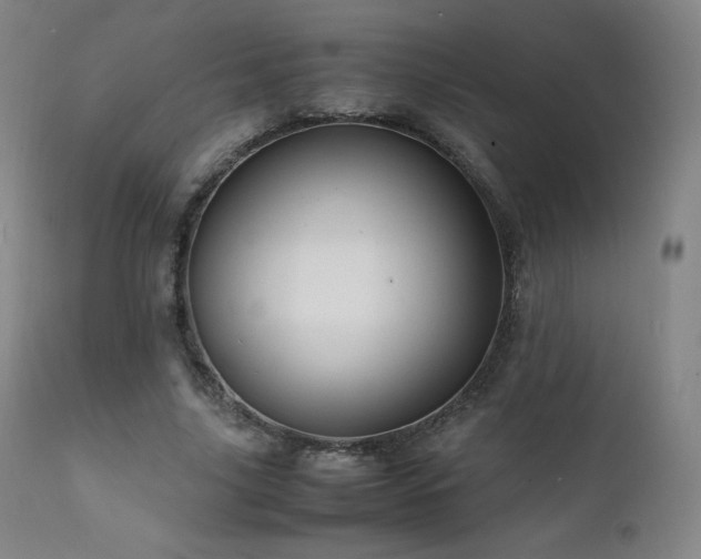 X0000111810635200907231235