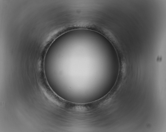 X0000111810636200907231235