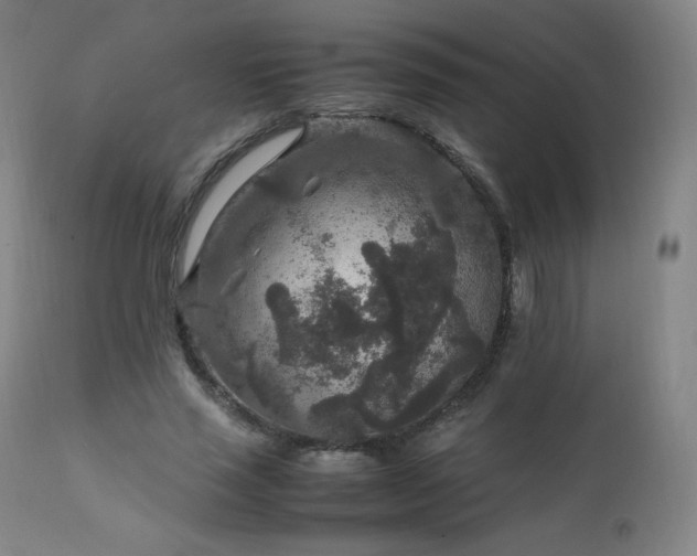 X0000111810637200907231235