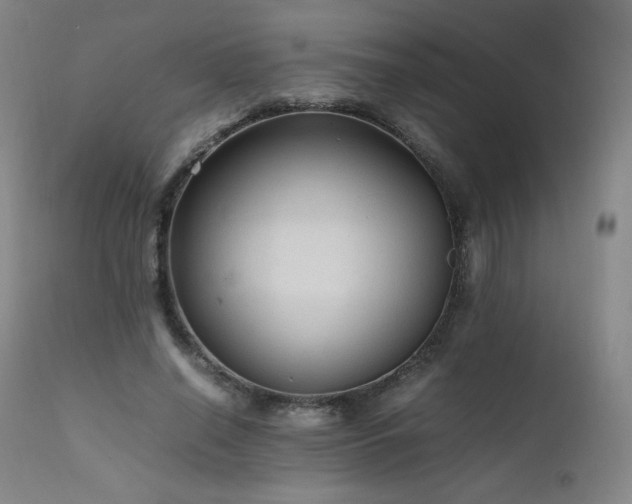 X0000111810638200907231235