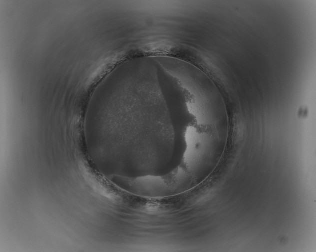 X0000111810641200907231235