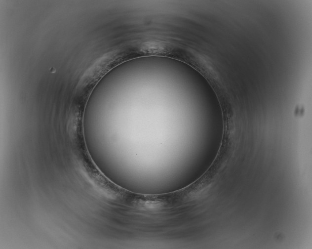X0000111810645200907231235