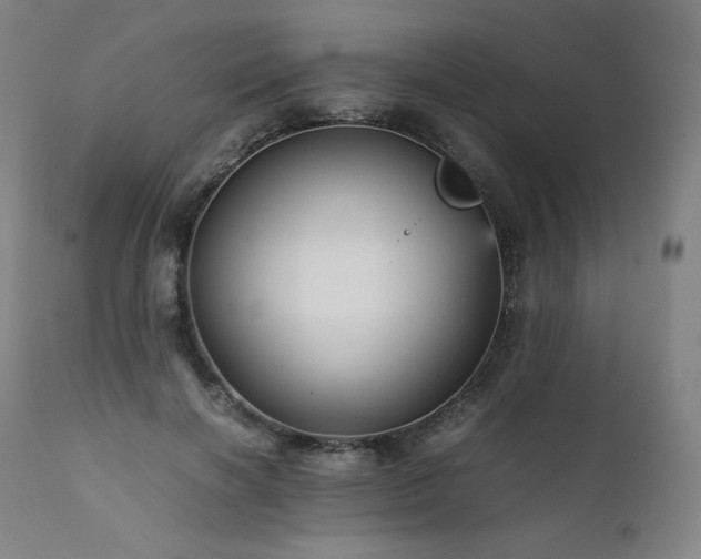 X0000111810646200907231235