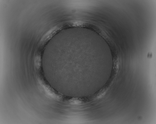 X0000111810648200907231235