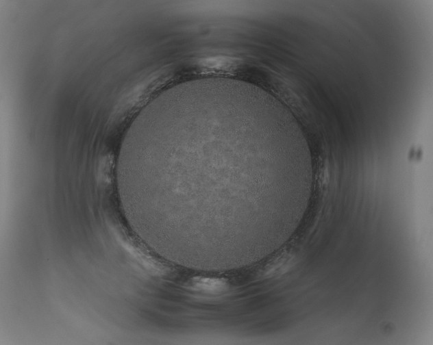 X0000111810649200907231235