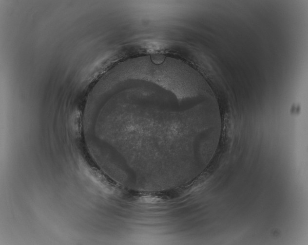 X0000111810650200907231235