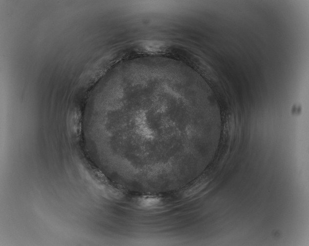 X0000111810651200907231235