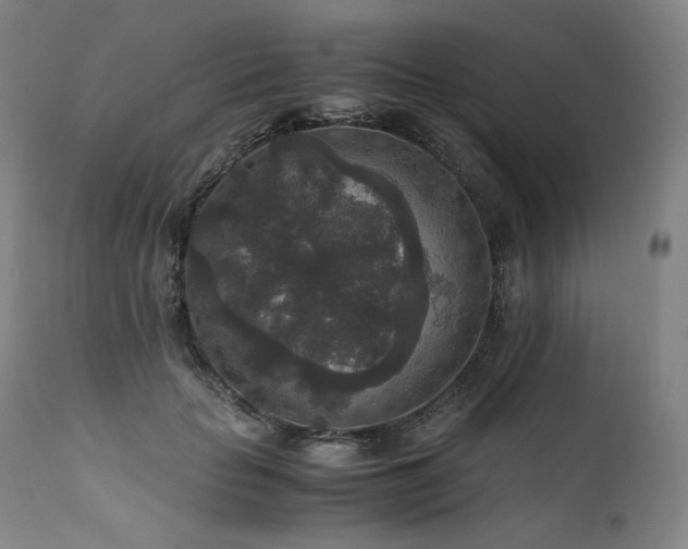 X0000111810653200907231235
