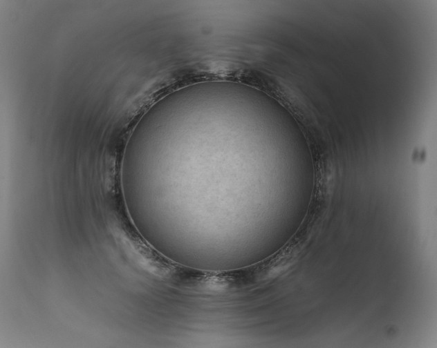 X0000111810656200907231235