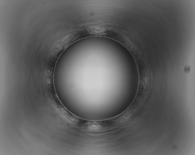 X0000111810658200907231235