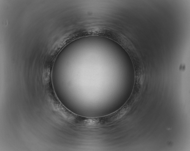 X0000111810660200907231235