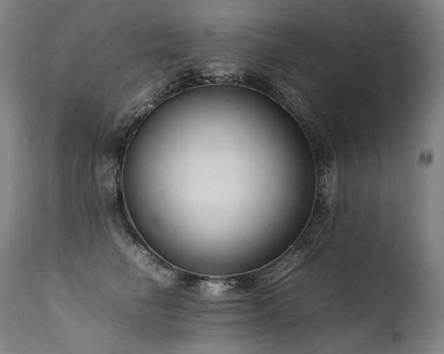 X0000111810662200907231235