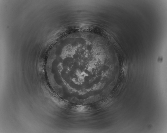 X0000111810663200907231235