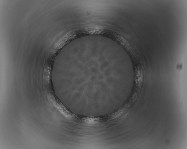 X0000111810664200907231235