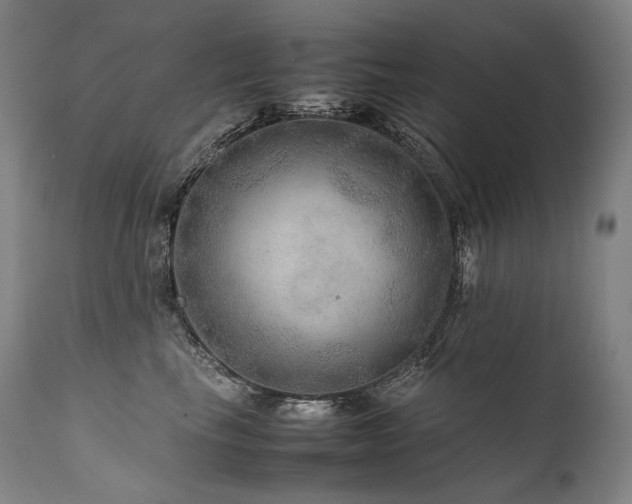X0000111810665200907231235