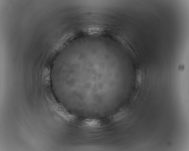X0000111810667200907231235