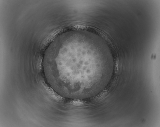 X0000111810668200907231235