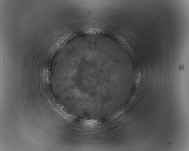 X0000111810669200907231235