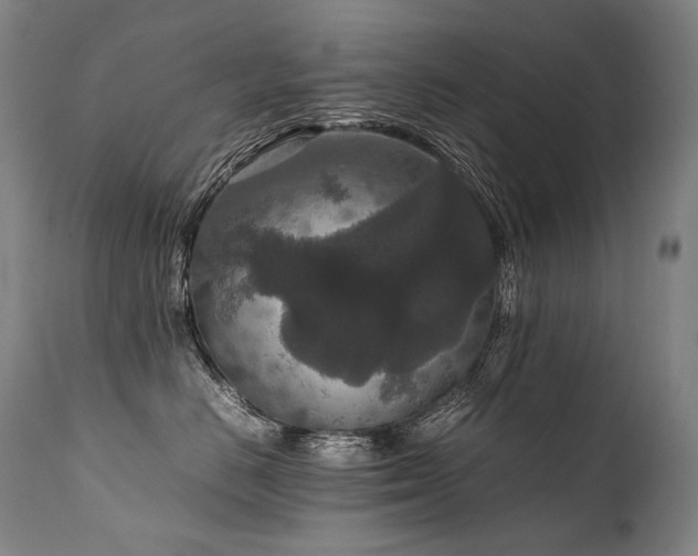 X0000111810670200907231235