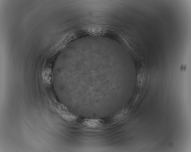 X0000111810671200907231235