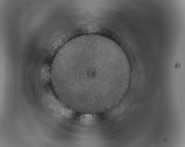 X0000111810672200907231235