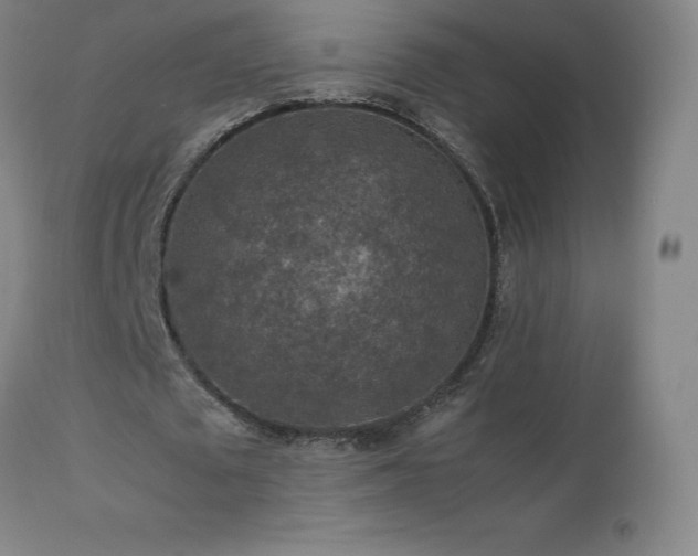 X0000111810673200907231235