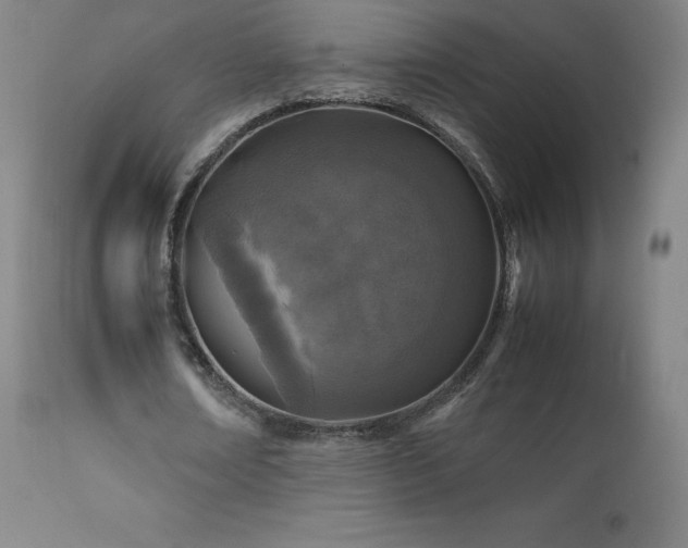 X0000111810674200907231235