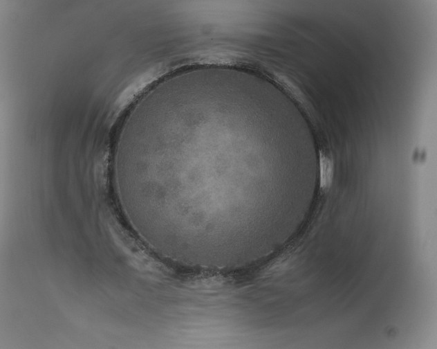 X0000111810675200907231235
