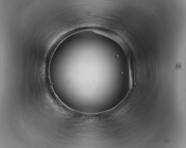 X0000111810676200907231235