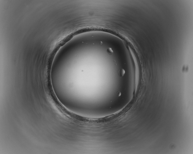 X0000111810677200907231235