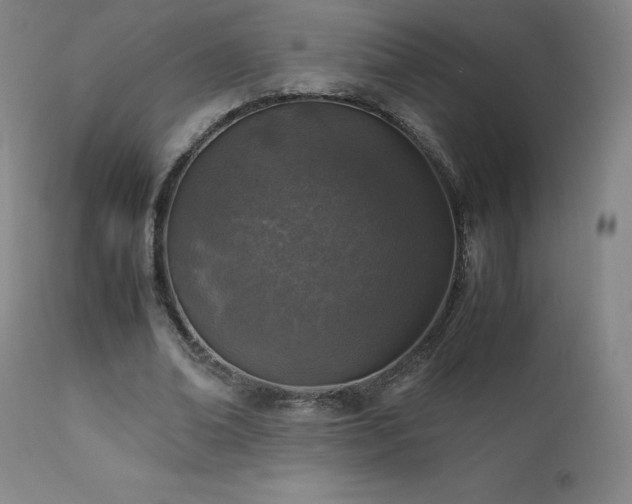 X0000111810678200907231235