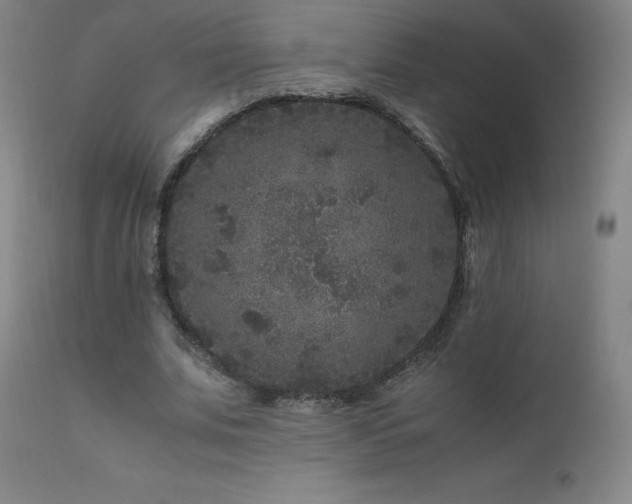 X0000111810679200907231235