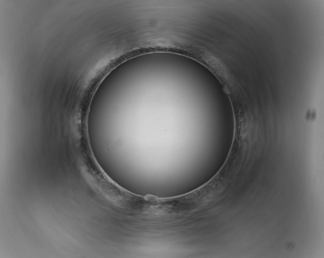 X0000111810680200907231235