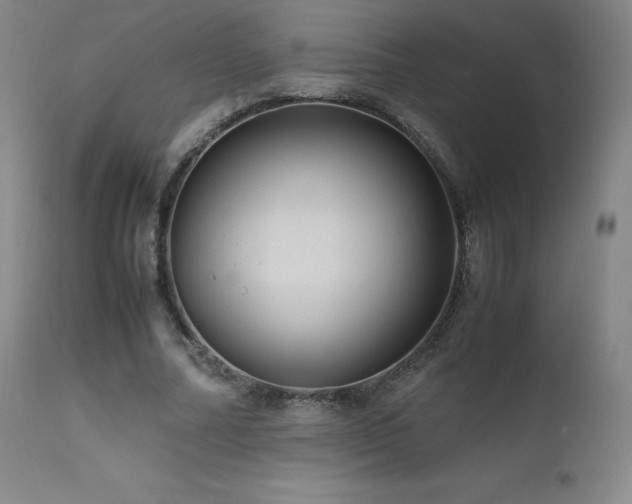 X0000111810682200907231235