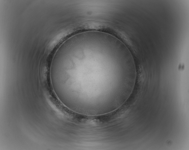 X0000111810683200907231235
