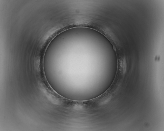 X0000111810684200907231235