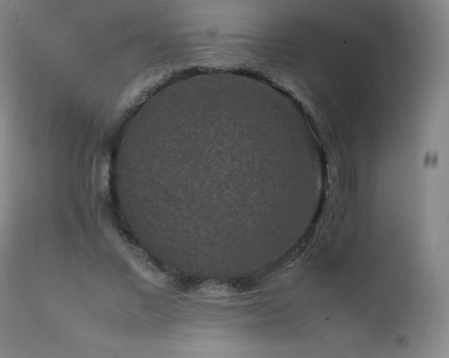X0000111810685200907231235