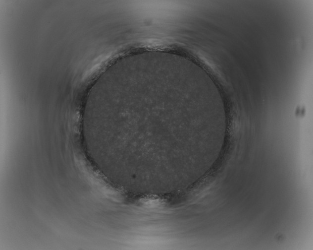 X0000111810689200907231235