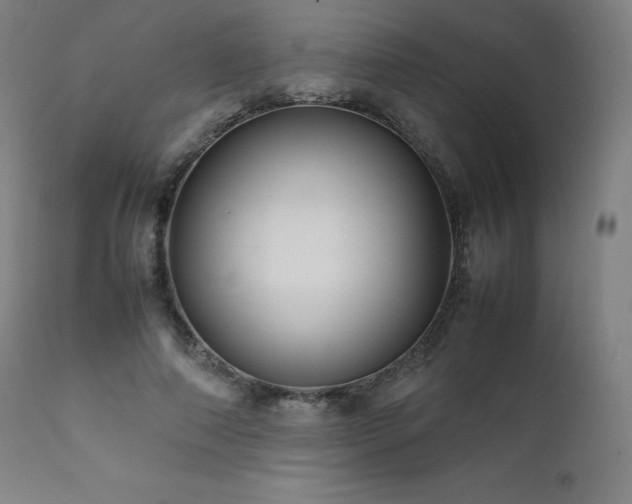 X0000111810690200907231234