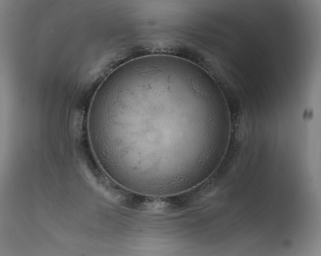 X0000111810695200907231234