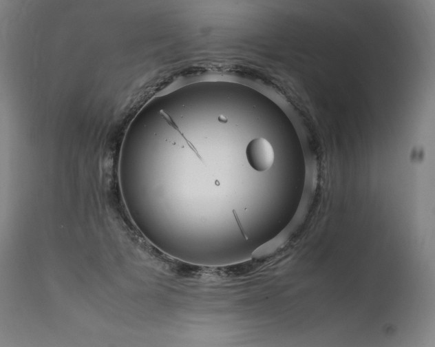 X0000111810697200907231234