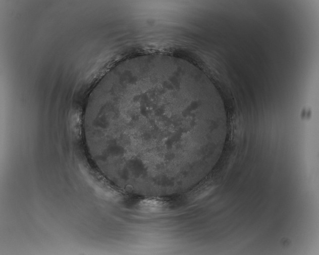 X0000111810699200907231234