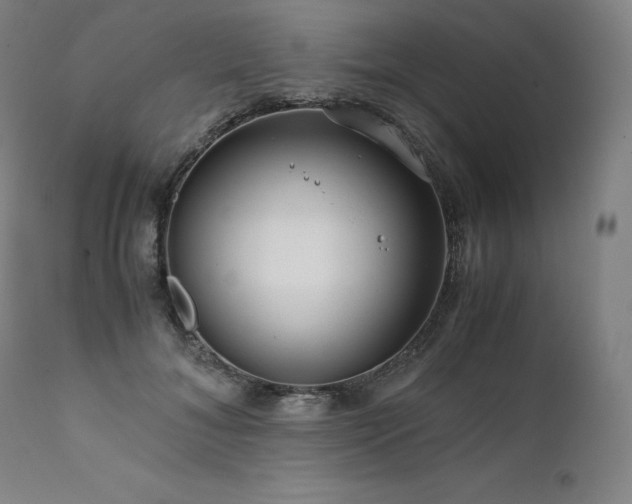 X0000111810700200907231234