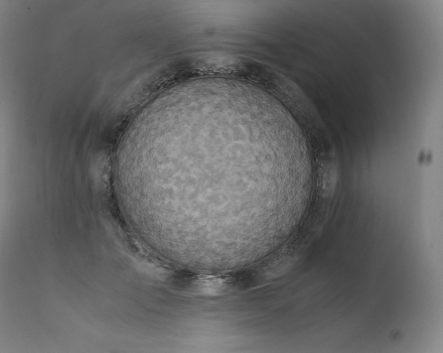 X0000111810701200907231234
