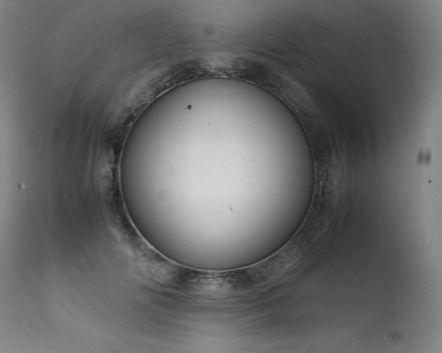 X0000111810702200907231234