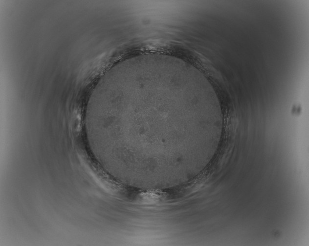 X0000111810703200907231234