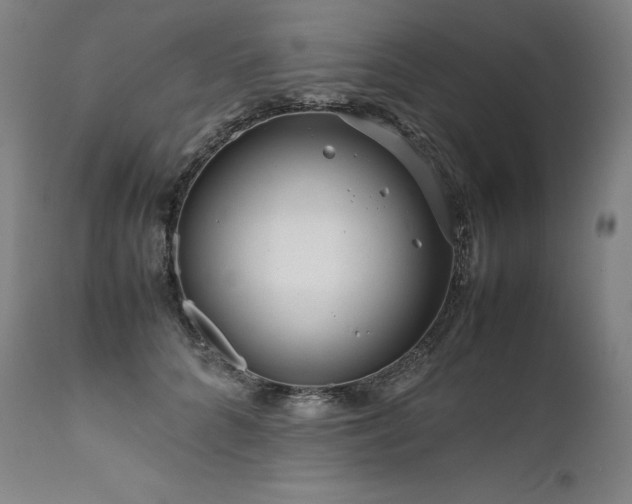 X0000111810704200907231234