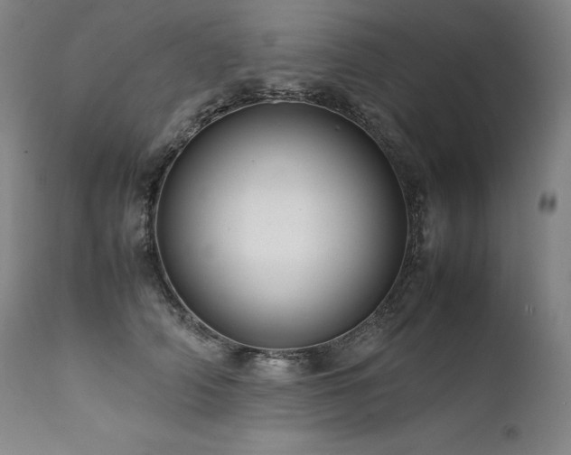 X0000111810706200907231234